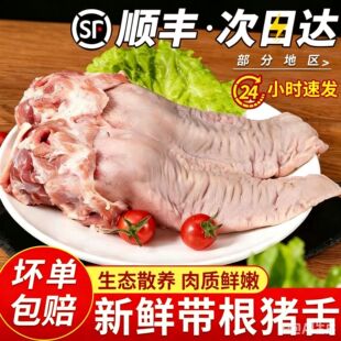��S���]���r��������i���^�i�ڗl�����ڗl�u�˼t���ʳ��