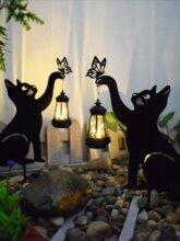 ����̫���ͥԺ���@�Շ���؈�Fˇ�ز�������������b�ƺ��