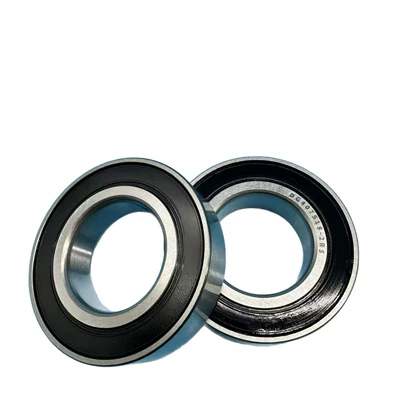 DG407518-2RS bearing, Bearing