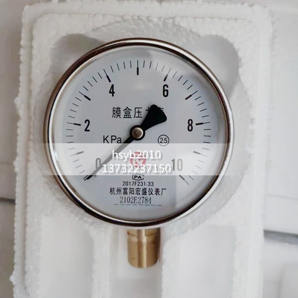 YE系列膜盒压力表 YE-100，径向，螺纹M20*1.5