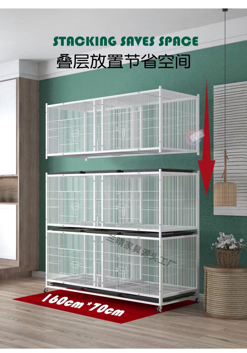 23edc6ae-f95f-4cbc-b7d2-35186b20f3d0.jpe