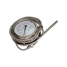 压力式温度计毛细温度表耐高温充油全钢304径向后边WY-100H 650°