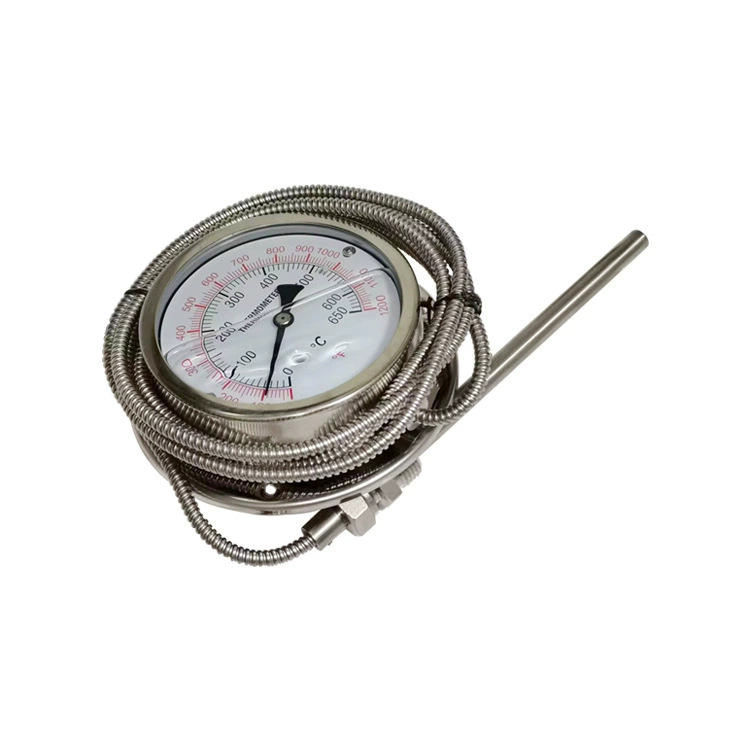Напорный термометр Капиллярный термометр термометр устойчив к высокой температуре, заполненный маслом, вся сталь 304 радиальная задняя WY-100H 650 °