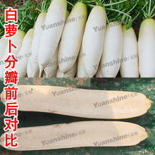 ȫ�Ԅӹ��߷ְ�C ������ײ˷փɰ��O�� ���}���}���ְ�C