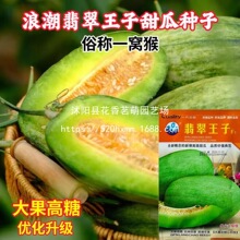 �s��һ����ϷN�� ������� �GƤ�����ϷN�� ������� ��Ƥ����