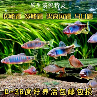 �W�tȺ���L���v�Ȱ��񰲻Ռ����v������^�p�~ԭ���~��ˮ��ˮ�~