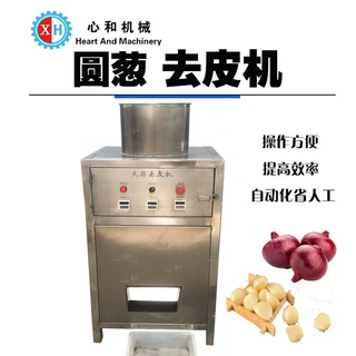 商用大蒜加工设备批发 全自动脱皮机 不锈钢洋葱红葱头除皮剥皮机