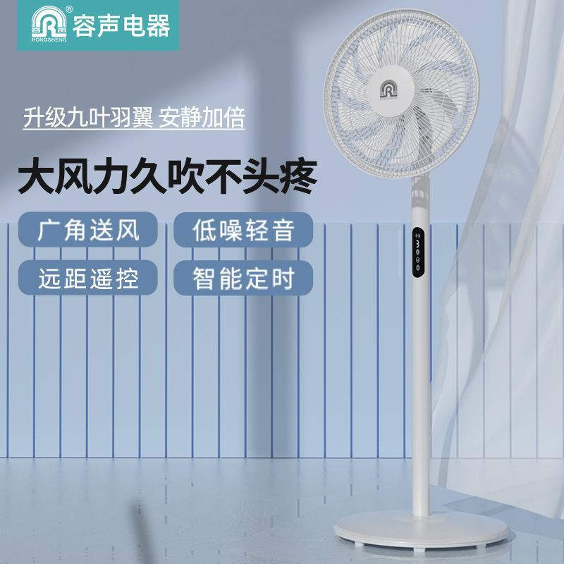 容声电风扇落地扇家用静音摇头大风定时台式立式遥控节能平面电扇