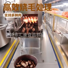 汇康研发新型鸭翅燎毛机 鲜辣椒烧椒机器 猪尾巴火燃可调喷毛机