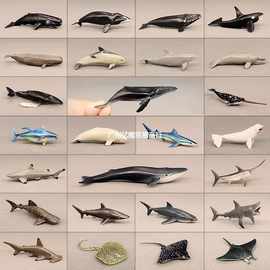 动物模型海洋世界滴胶素材迷你海洋蓝鲸抹香鲸灰鲸海豚蝠鲼独立站