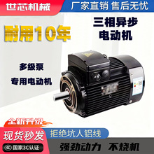 多级泵专用电动机格兰富款CDL立式YE3 80M1-2-0.75KW三相异步电机