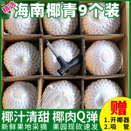 方便面类;膨化;传统糕点