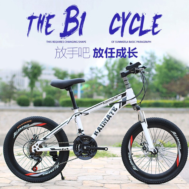 Manufacturer Wholesale Mountain Bike Bicycle 20inch Disc Brake Variable Speed Male and Female Students Kidsren's Gift Bmx Off-Road Vehicle