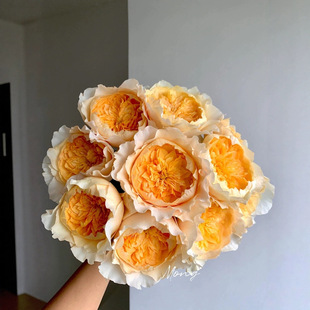 Super Rare Yellow Austin Rose Aiffel Single-Headed Rose Niche Flower Material