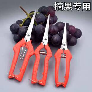 �S��ֱ�����P䓈@����֦������ϡ�����P���@ˇ���߼��^���@ժ����
