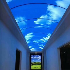 キャノピー LED フルカラー ディスプレイ裸眼 3D インパクト スマート ショールーム バー大画面ソース メーカー