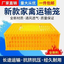 运输鸡笼加厚成鸡周转箱特大周转筐鸭鹅鸽子笼鸡笼子家用养殖笼子