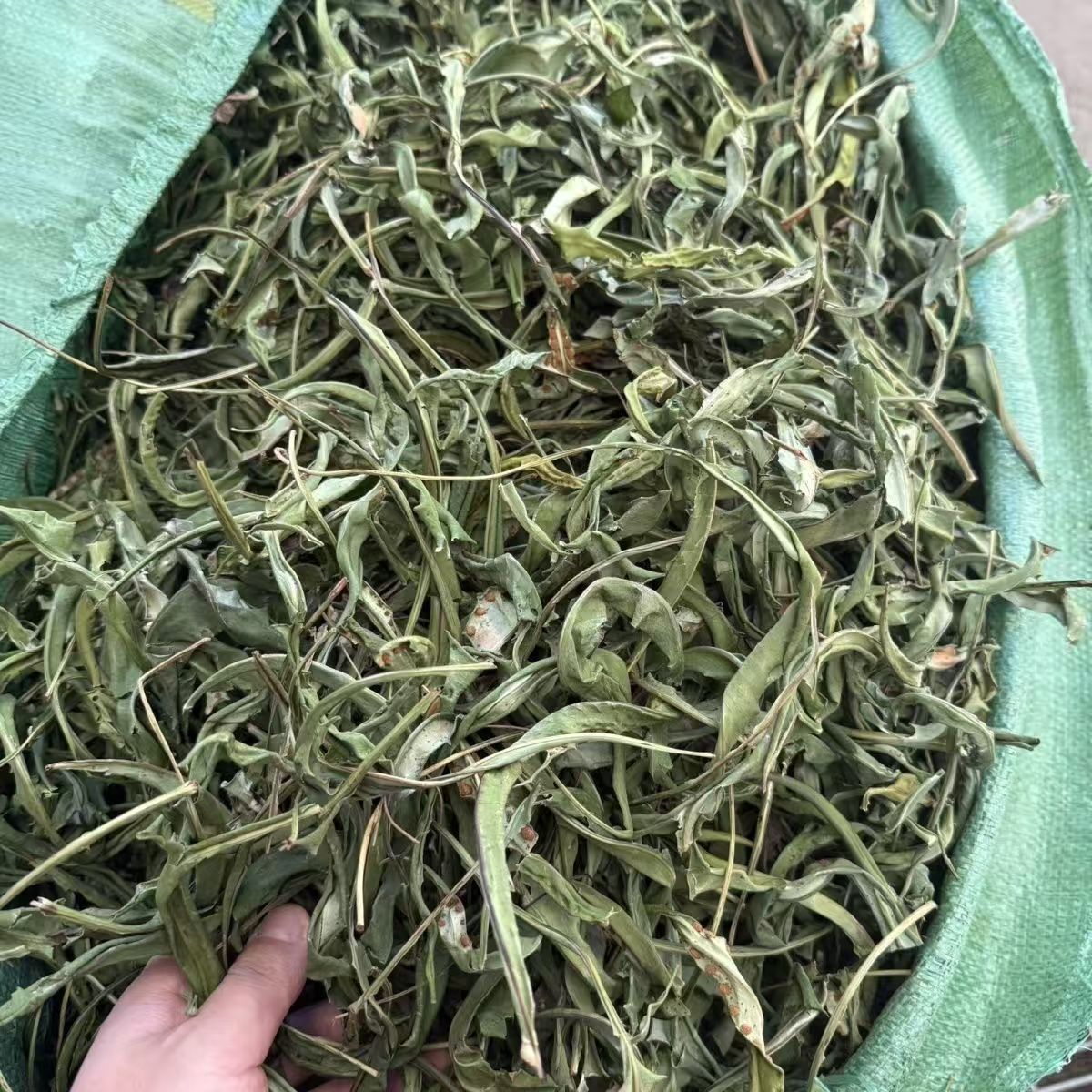 Shen Jing Cao Kidney Essence Herb Dried Ren Jing Cao Traditional Herbal Tea Loose Dried Herb quality and texture