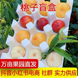 其他水果;桃子;芒果