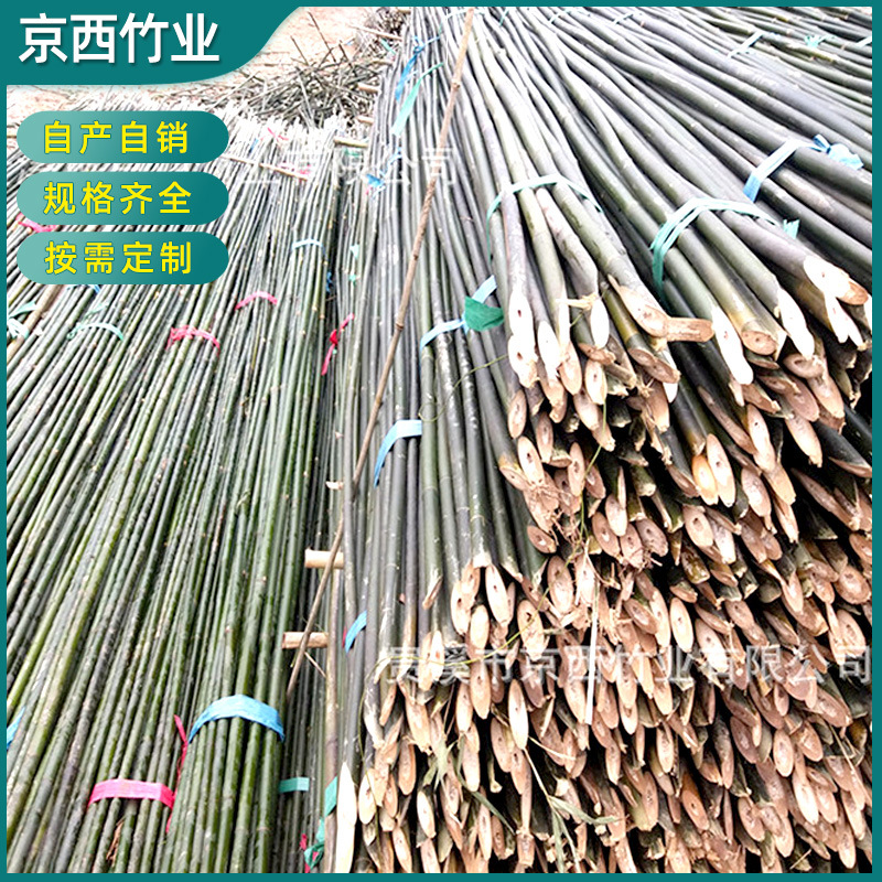 产地销售2021年防寒4米小竹竿 竹竿菜园搭架种菜小竹子