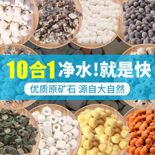 鱼缸滤材细菌屋陶瓷环石英球过滤器材专用硝化细菌净水底滤材全套