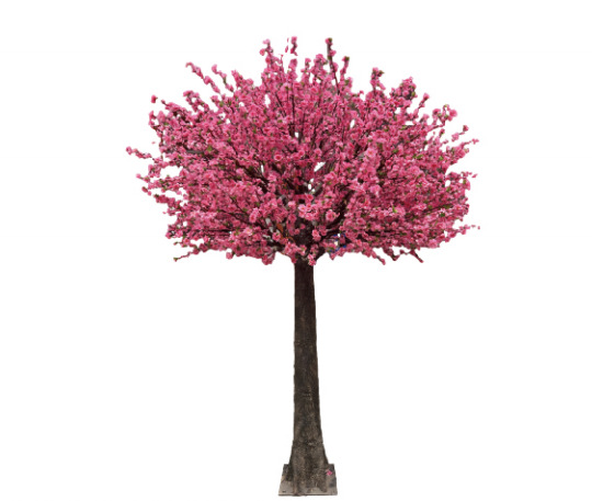 Peach Blossom de 3,5 metros de altura x 3,5 metros de ancho