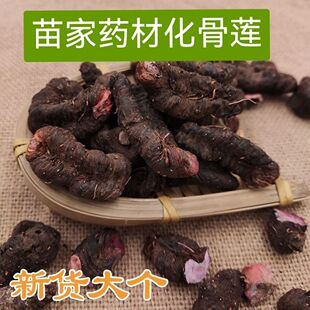 ������ɏ��������ș�����P���υ� ��Ѫ�� ȭ��