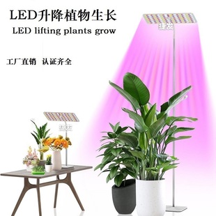 Led Plant Lamp Growth Fill Light Full Spectrum Red and Blue Succulent Green Plant Flower Seedling Indoor Greenhouse Planting Factory