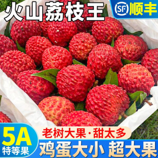 海南火山荔枝王现摘巨无霸特大超大新鲜水果整箱大荔枝5斤礼盒装-阿里巴巴