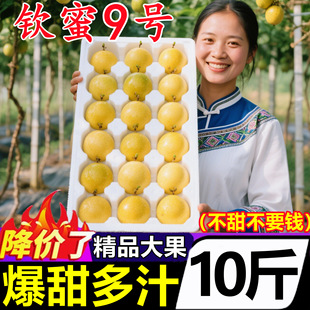 ���ڏV���S�������S��J��9̖��������r����ˮ��5����]���