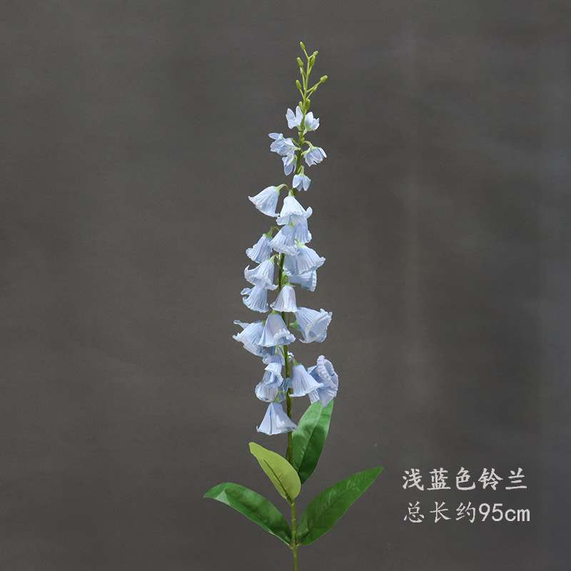 Lirio azul claro del valle