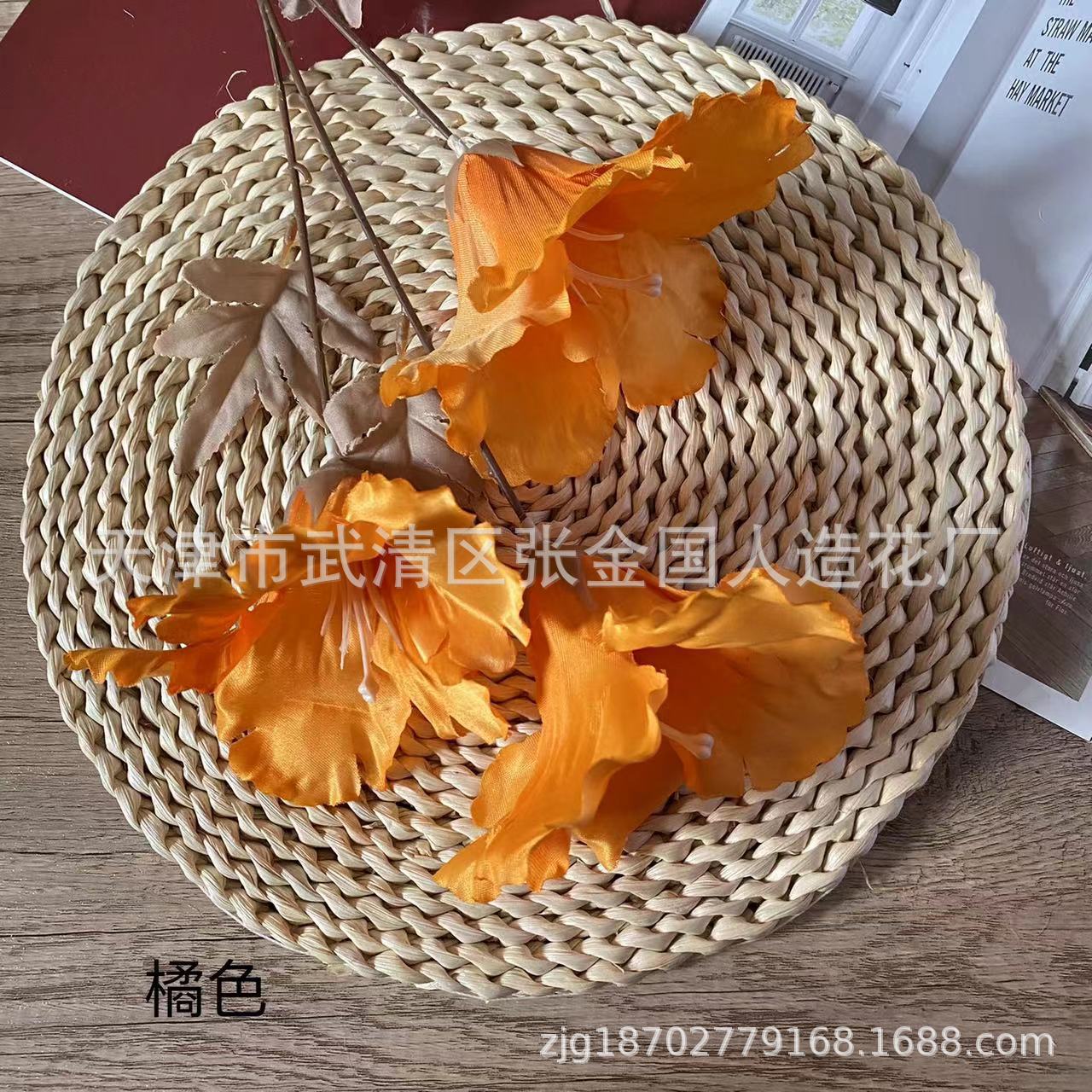 오렌지