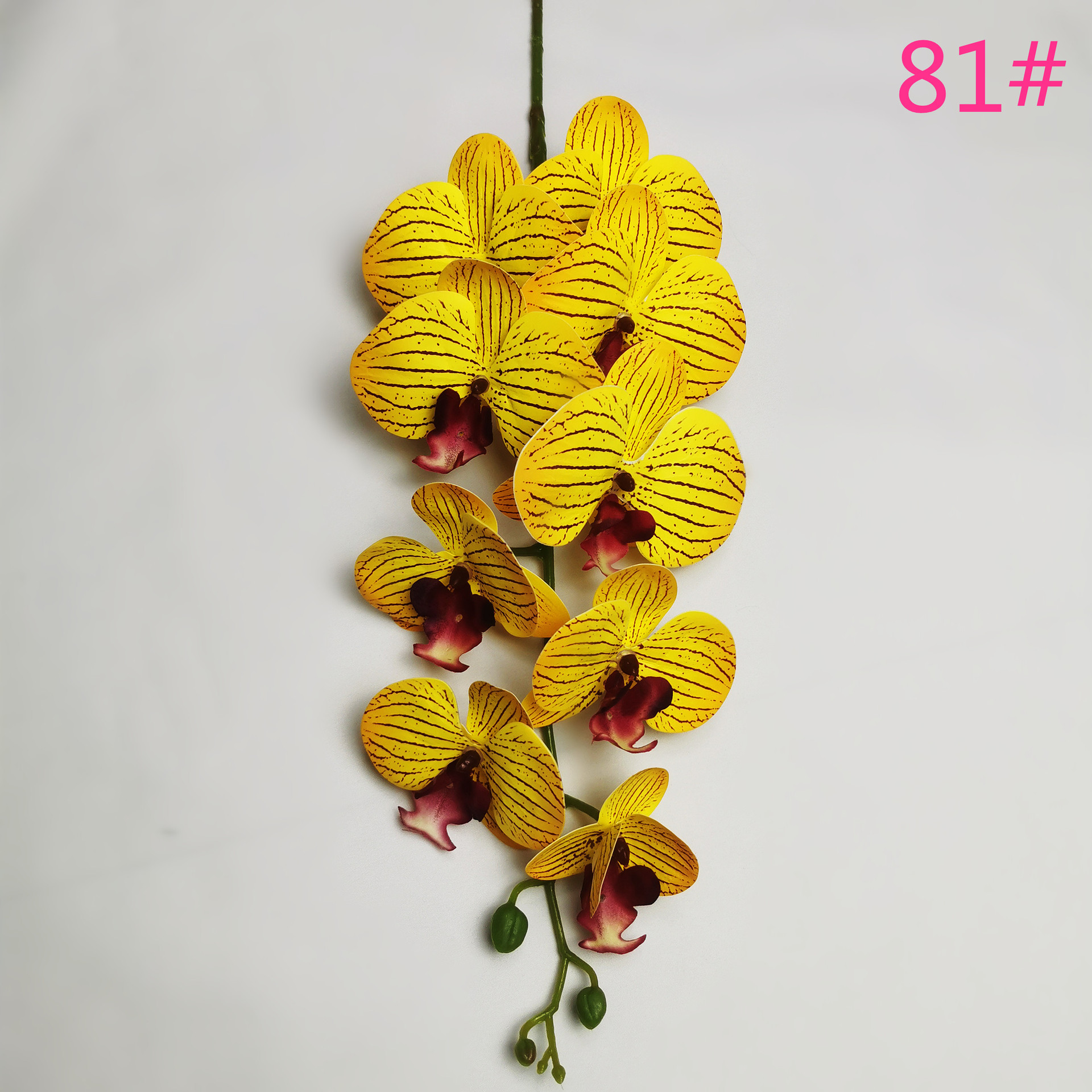 IMG_20220531_183812_副本