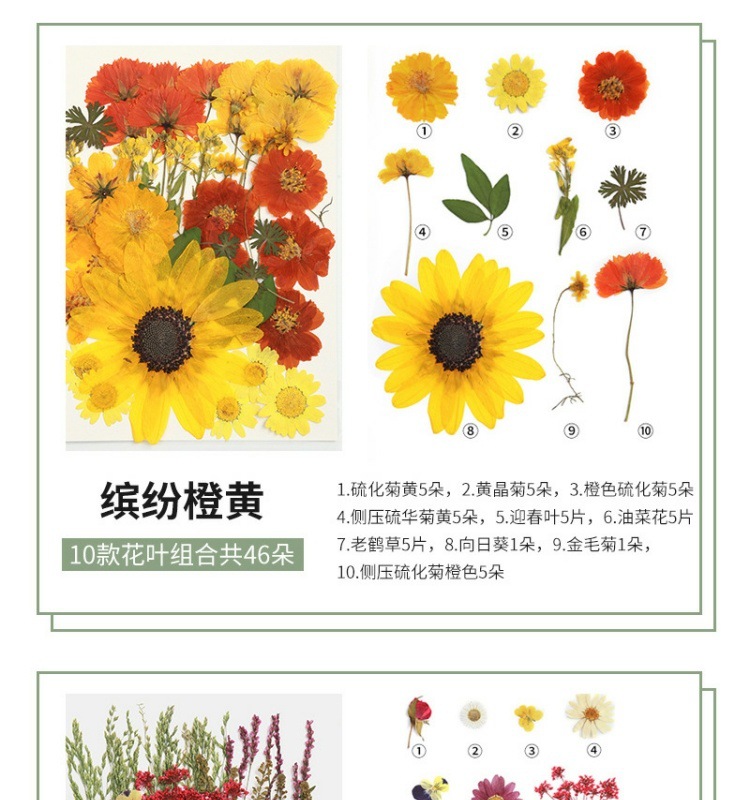 a463f181-ae03-4c48-9c80-8d30848dfdef.jpe