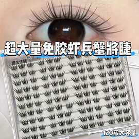 超大量免胶虾兵蟹将灵动轻薄仿真放大双眼外贸热销DIY跨境假睫毛