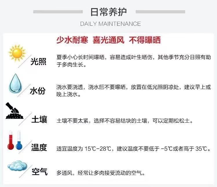 b348db92-6859-4333-9d3a-8c7e40cbb87d.jpe