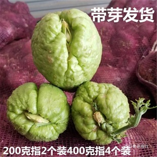 ���ֹϷN��ώ�ѿ�S�չ���z�ϸ��۹��ϹϷN��횲��r���ԷNֲ