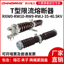 RXW0-RW10-RW9-35KV/0.5A1A2A5AմPTo߉۔40.5KV