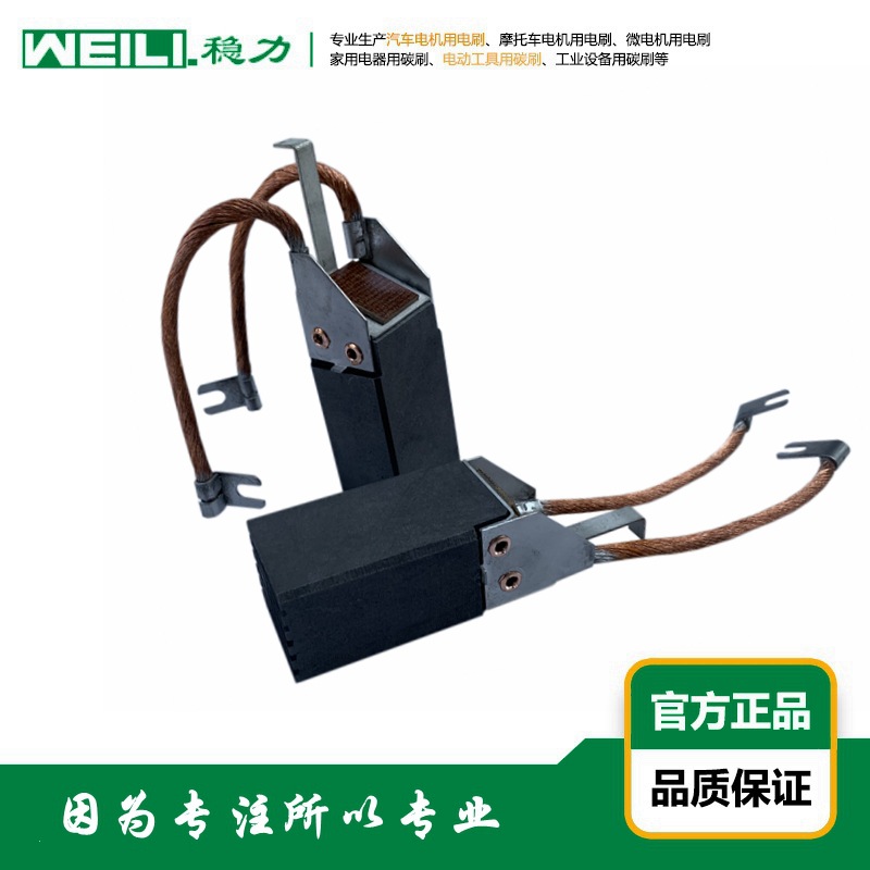 WEILI.稳力 供应适配LFC554汽轮发电机用电刷 碳刷
