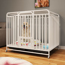 ���\�Ӵ�������С��Ȯ�ӹ�ȫ����̩�Ͻ�ë�������಻�P䓌��ﹷ�\