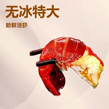 龙虾尾无冰特大虾尾特大号无冰衣新鲜活小龙虾冷冻