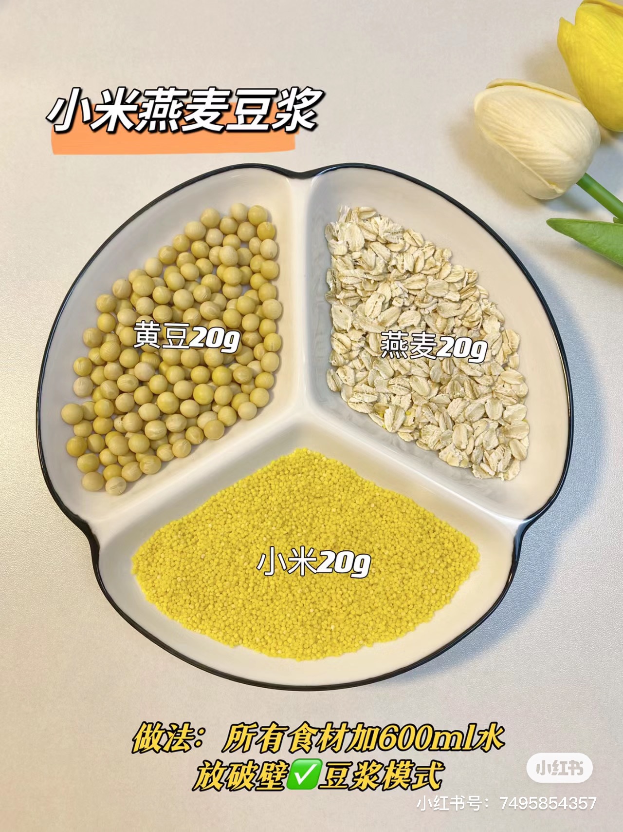 기장 오트밀 두유 [5팩]