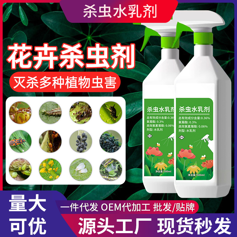 insecticide aqueous emulsion flowers and plants china rose common medicine for diseases and insect pests aphids flies non-red spider ants