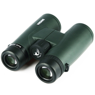 �������]8x42�pͲ���h�R�߱������^���^��ED�RƬ