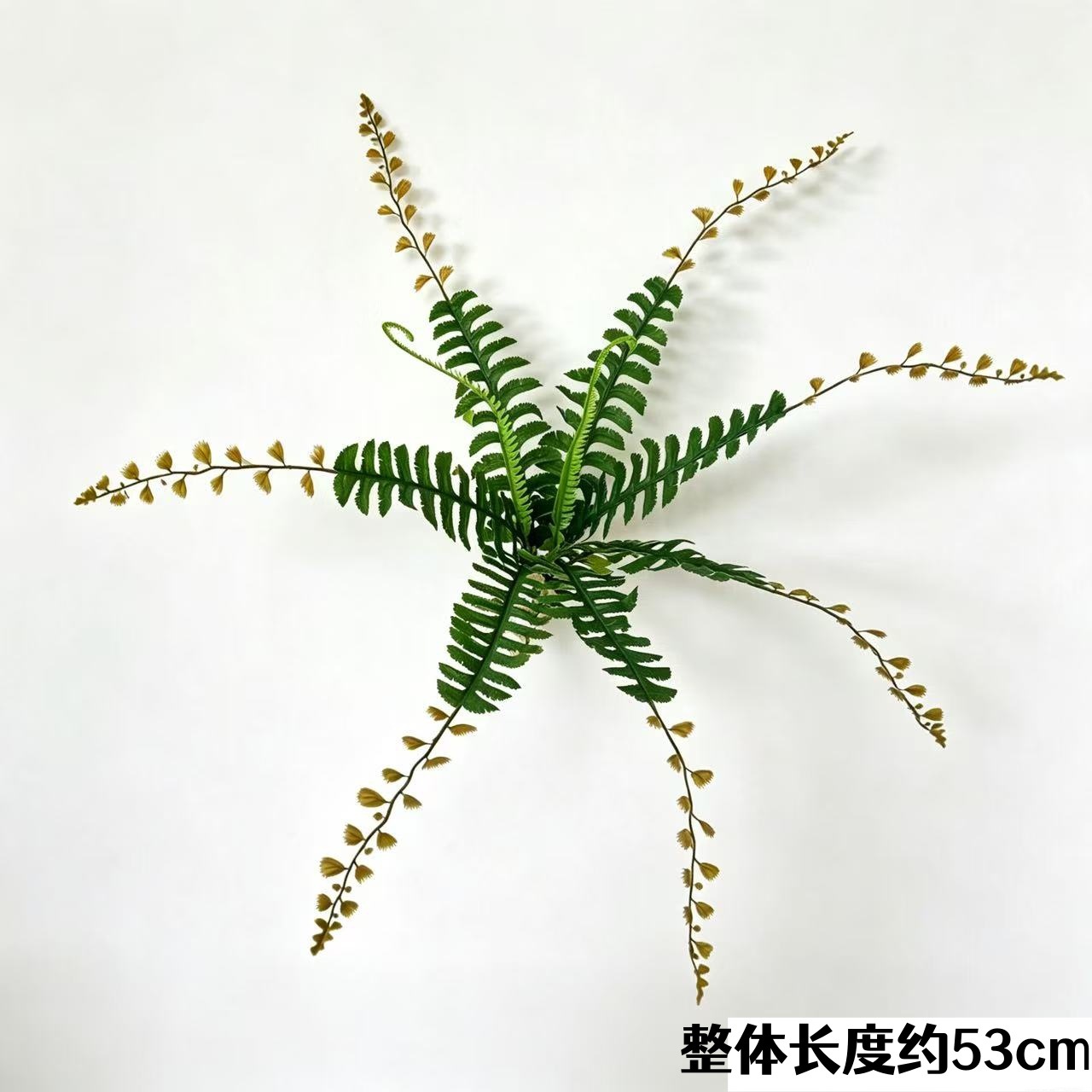 9頭ヒゲペルシャ草（ダーク）
