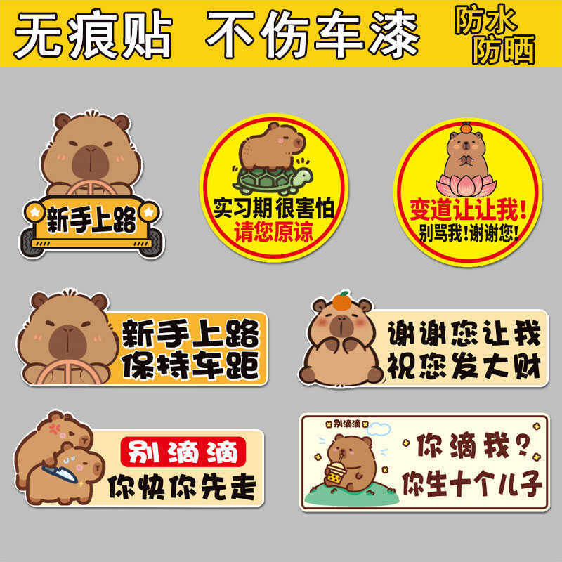 인턴쉽 초보자 자동차 스티커 CAPYBARA KAPIBALA 여성 운전자는 내 자기 반사를 만들어 주셔서 감사합니다