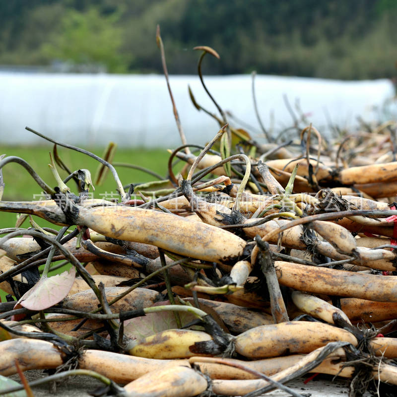 53639d5b3aaad05b2ed21ac03857e7