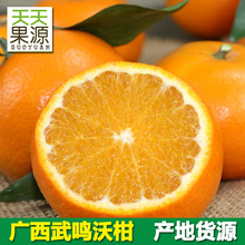 產地貨源廣西武鳴沃柑9斤裝整箱橘子新鮮水果 批發一件代發非砂糖