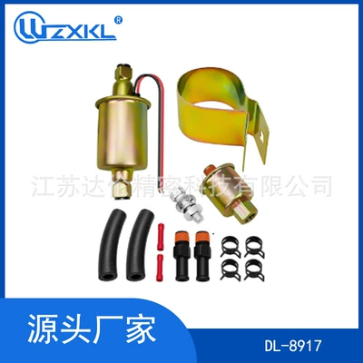 Car Fuel Pump Digital Pump External Pump Oil Pump E8012S E8016S E8043 Note: 6V
