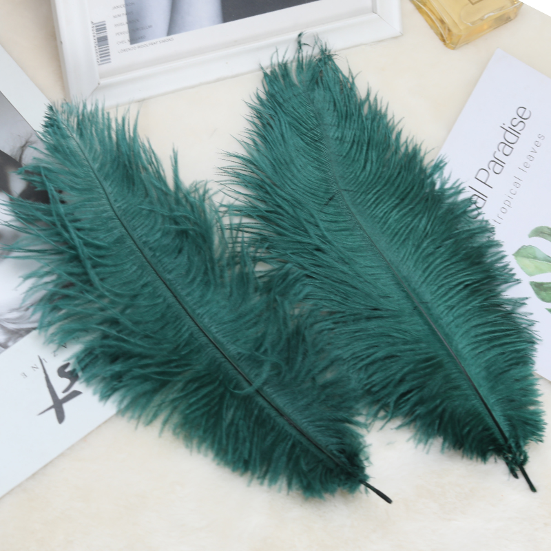 Plumas de avestruz bodas blancas de avestruz guía de plumas accesorios de fotos adornos rojo rosado en línea grandes plumas decoración
